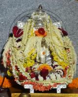 Kiri Shashti Palki Utsav of Shri Vasuki Subramanya, Shri Umamaheshwar Temple, Mangaluru (6 Jan 2025); Picture Courtesy: Shri Ganesh Damble